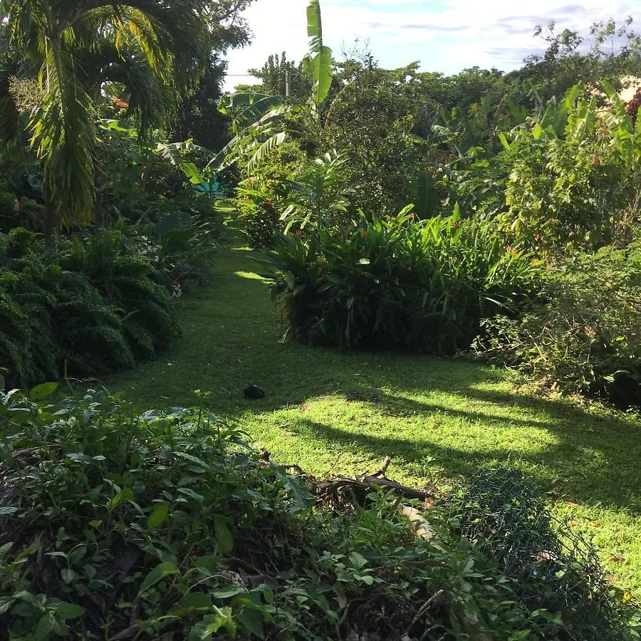 Holiday home La Siguine Villa Gourbeyre Guadeloupe