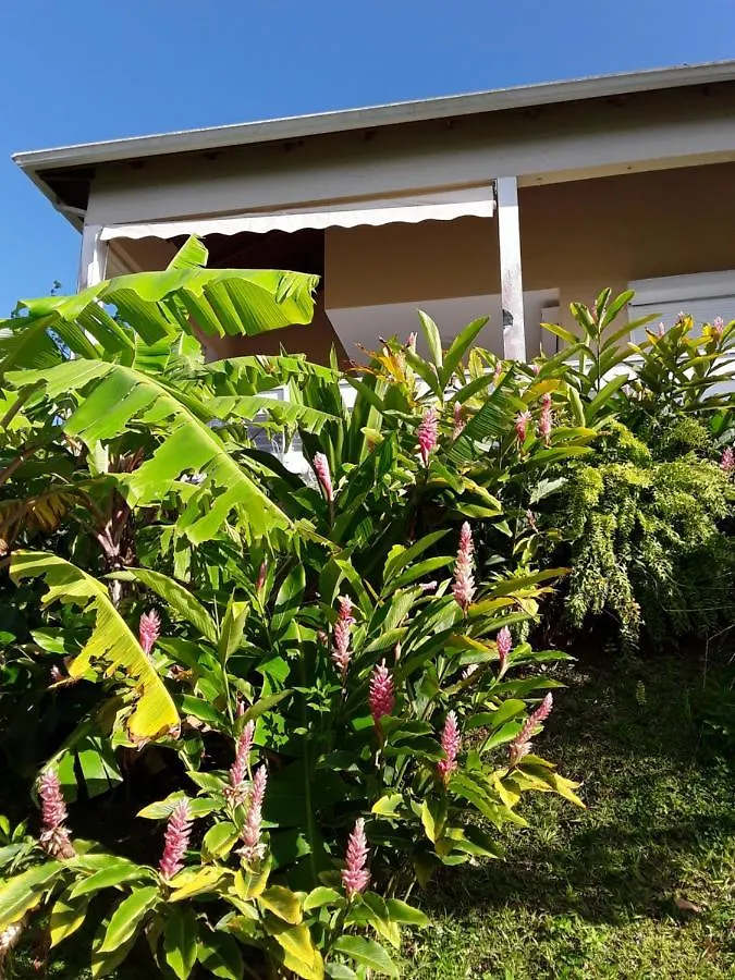 La Siguine Villa Gourbeyre