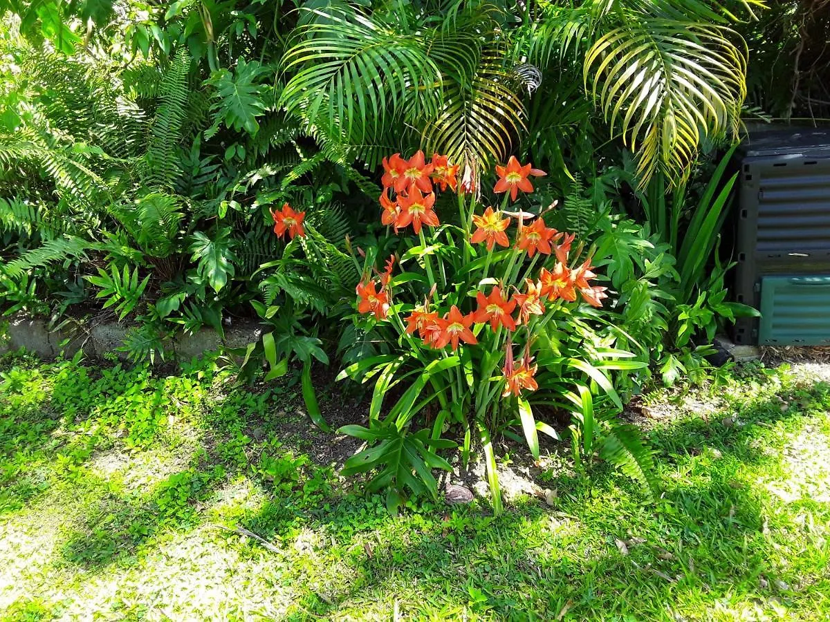 La Siguine Villa Gourbeyre Holiday home