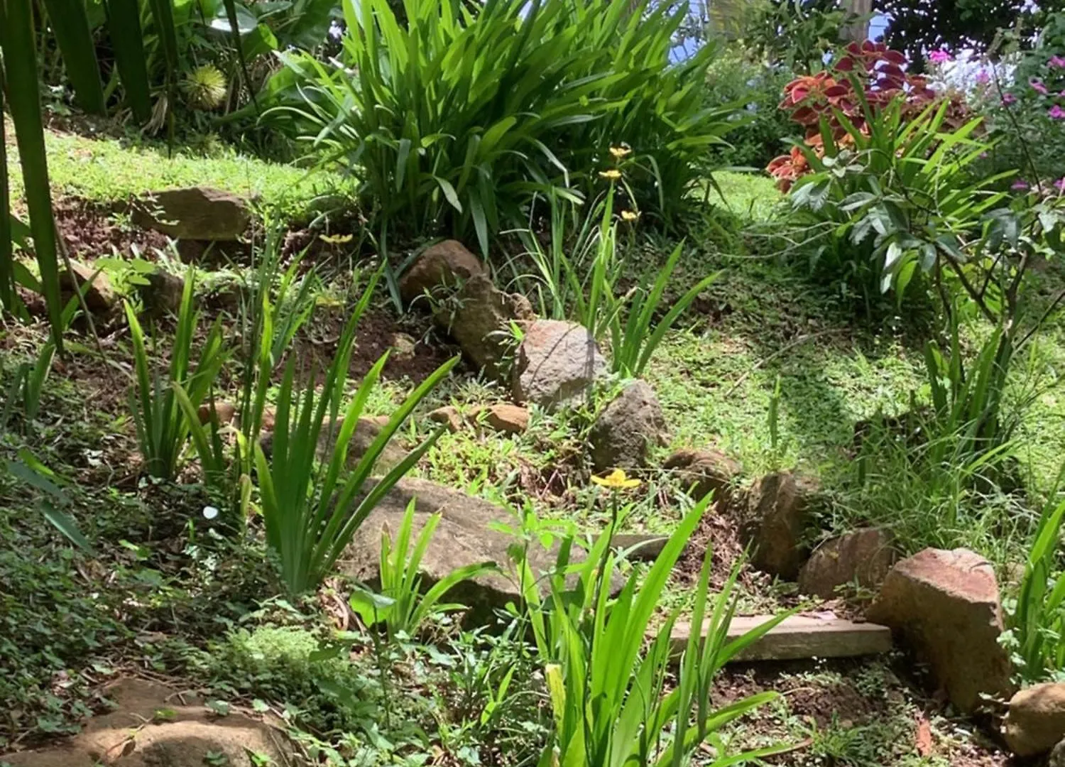 La Siguine Villa Gourbeyre 0*,